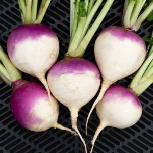 Turnip (Shalgam)