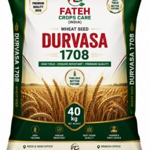 WHEAT SEED 1708
