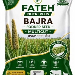 Bajra