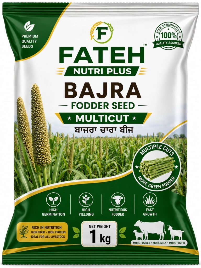 Bajra
