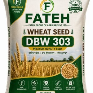 Wheat DBW 303