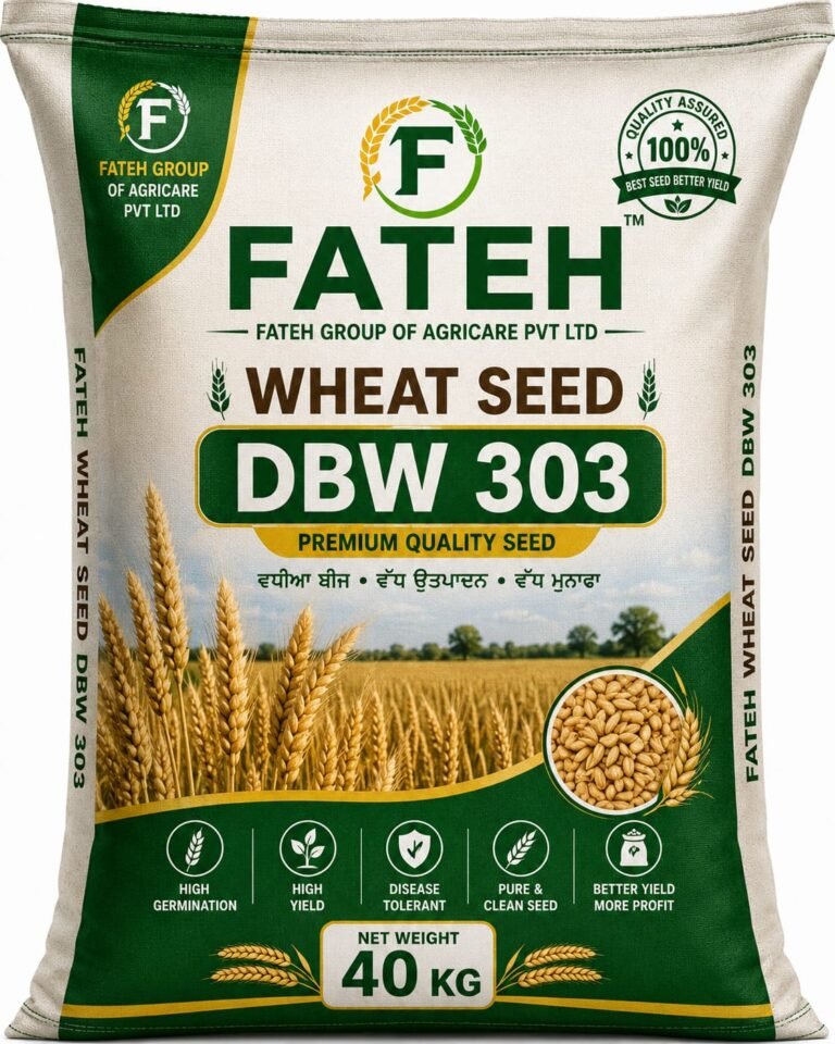 Wheat DBW 303