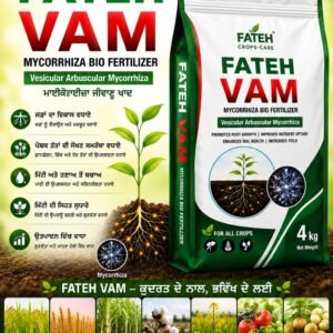 FATEH VAM