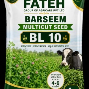 Barseem BL10