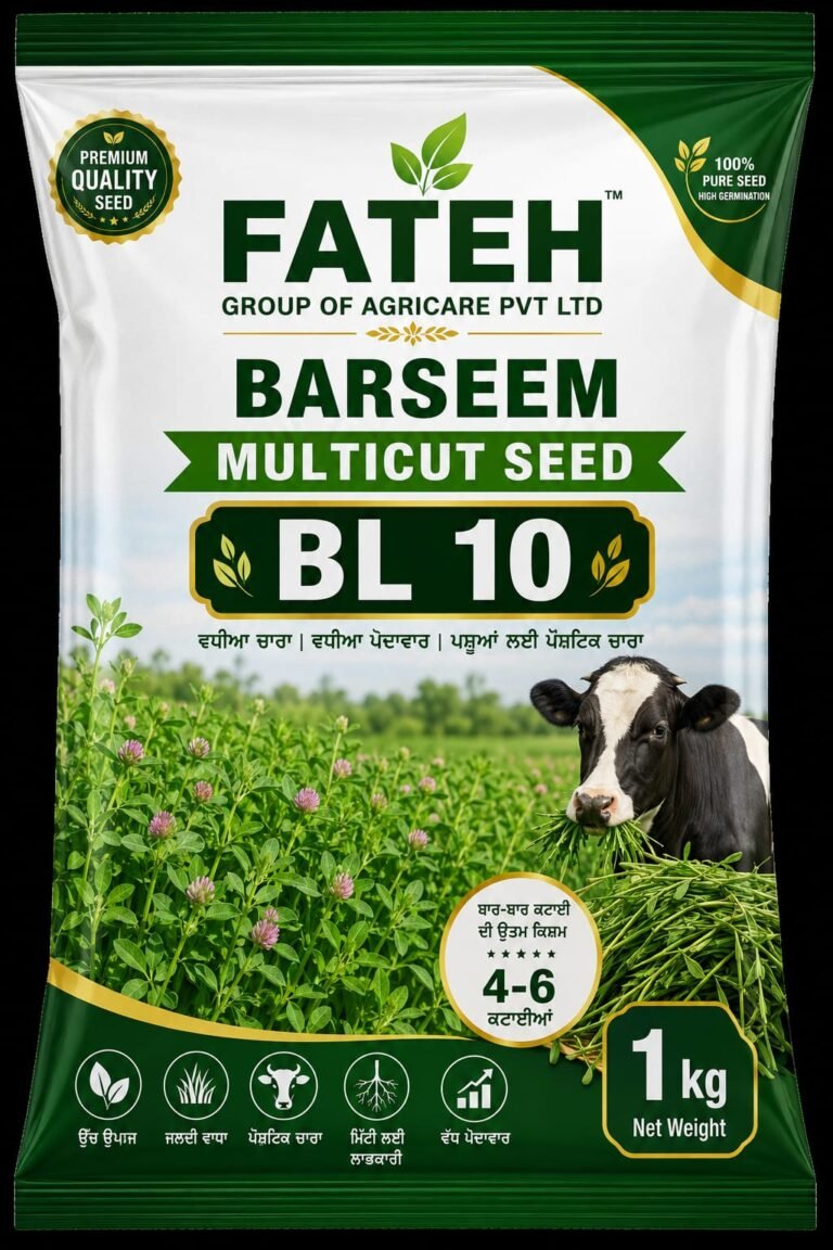 Barseem BL10