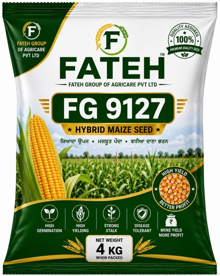 Makki (Maize) FG 9127