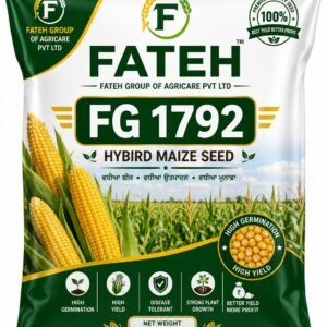 MAIZE SEED FG 1792