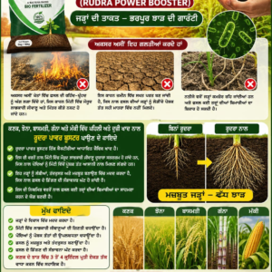 Rudra Power Booster product poster and packaging artwork