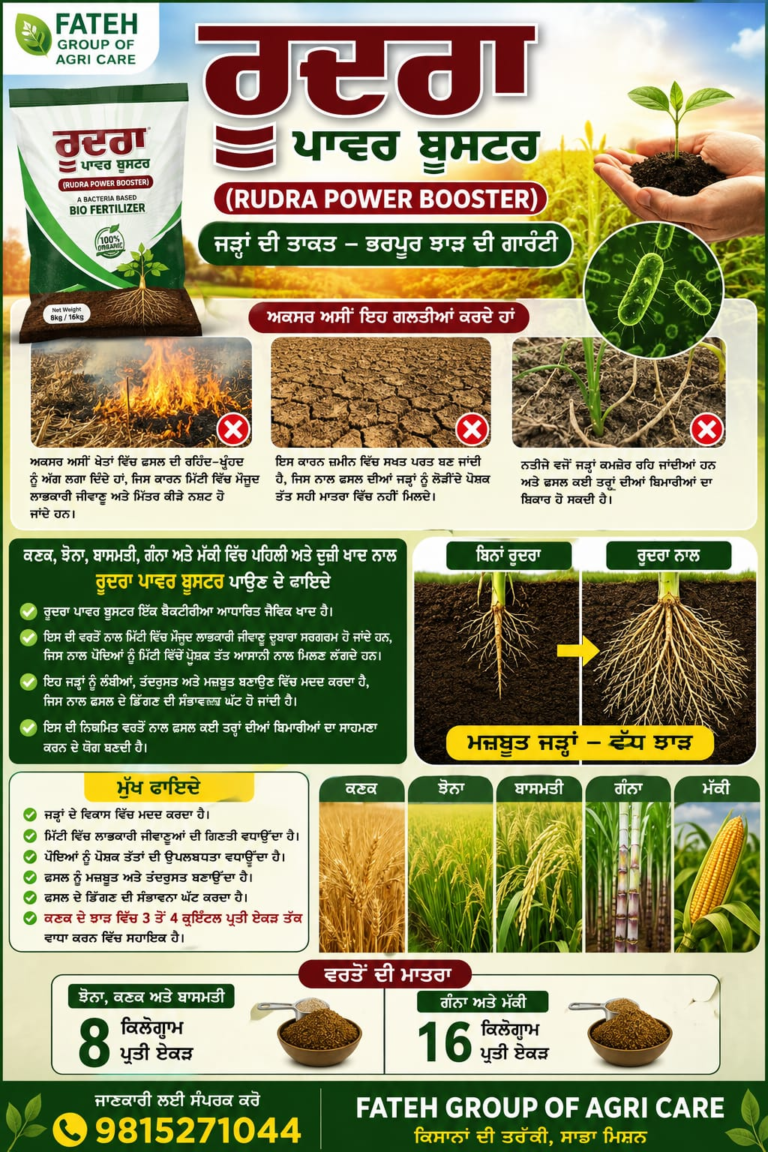 Rudra Power Booster