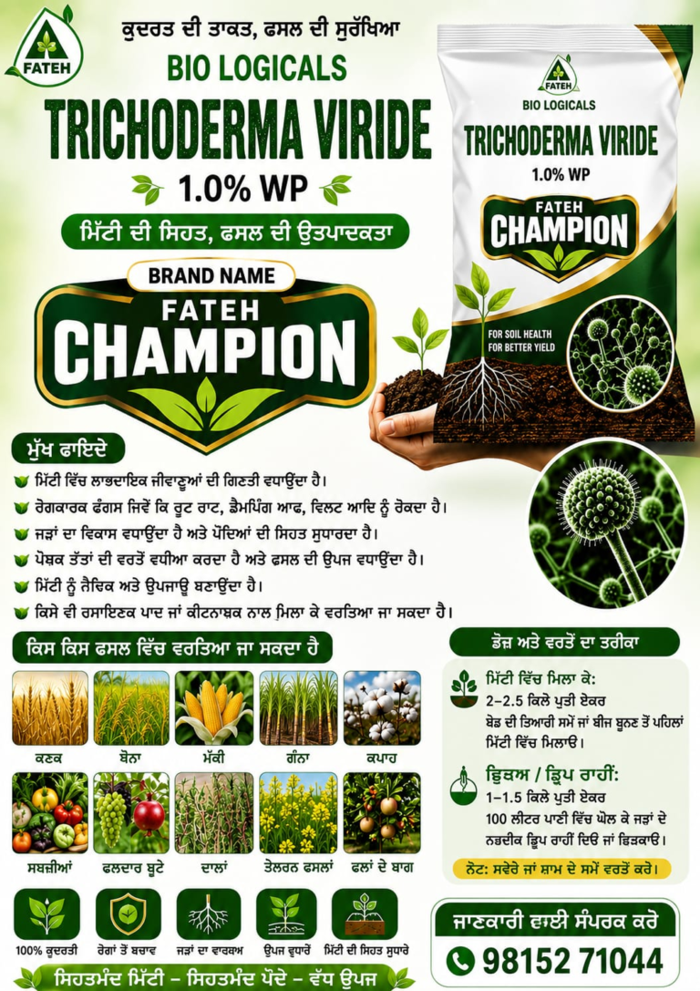 FATEH Champion Trichoderma Viride 1.0% WP